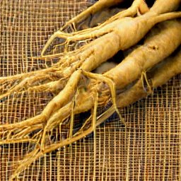 ginseng